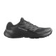 Salomon Alphaglide GTX